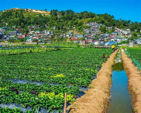 THE BEST Fun Things to Do in Benguet Province (Updated .